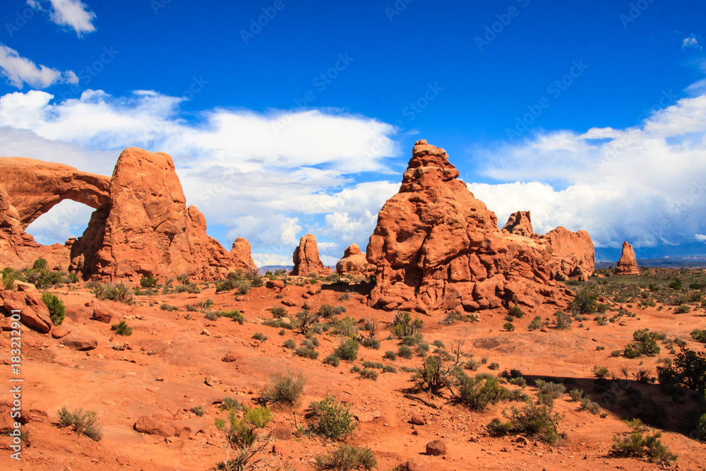 Fototapeta premium Arches National Park