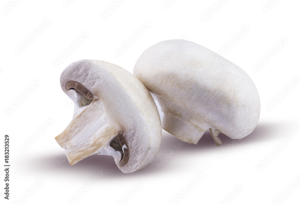 Fototapeta premium Champignons are isolated on a white background