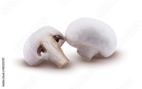 Champignons are isolated on a white background