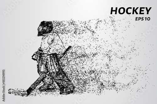 Hockey from the particles. The goalkeeper consists of circles and points. Vector illustration
