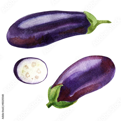 Watercolor illustration. Image of eggplant from different sides, aubergine slices.