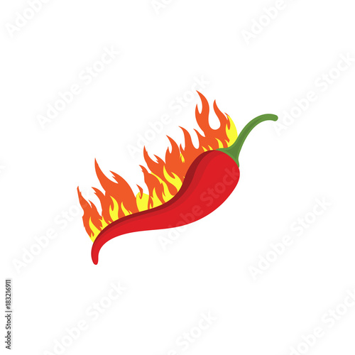 Vector illustration of a hot jalapeno or chili peppers in fire. Chili peppers in flame.