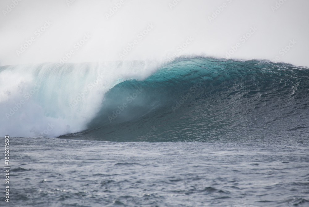 wave wave