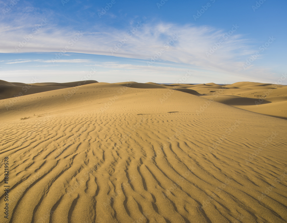 Famous natural park Maspalomas dunes in Gran Canaria at sunrise, Canary island, Spain Famous natural park Maspalomas dunes in Gran Canaria at sunrise, Canary island, Spain