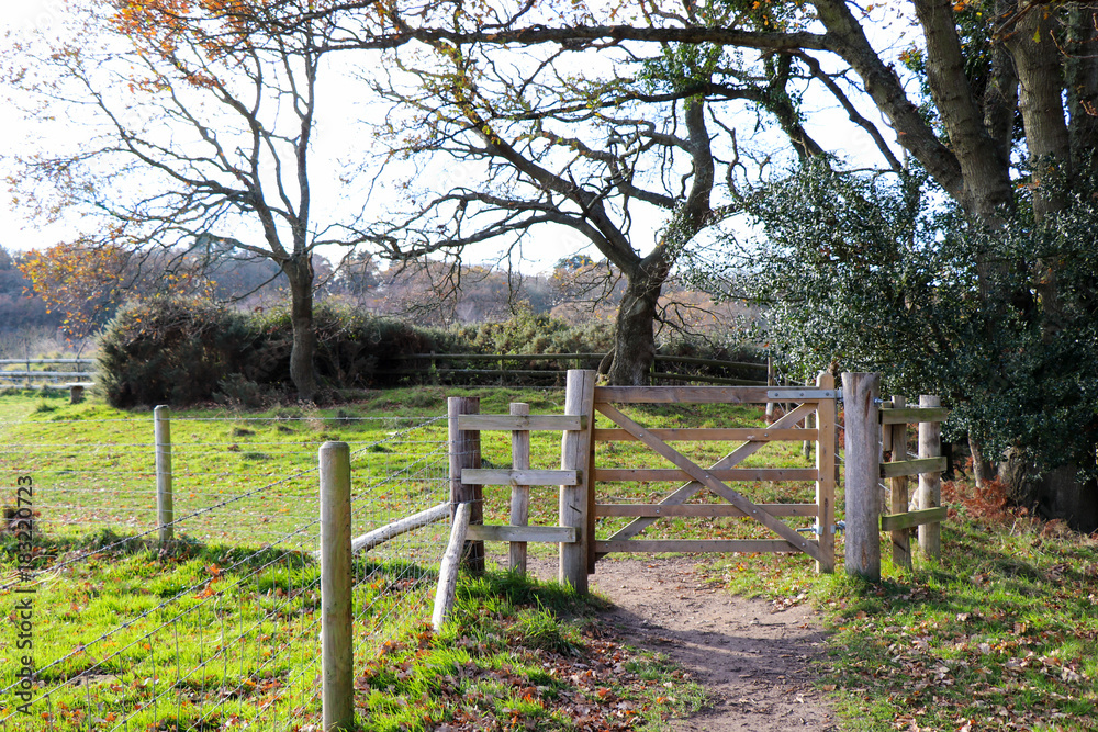 Footpath Gate Footpath Gate