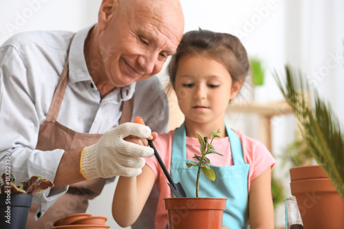 Senior man gardening with h...