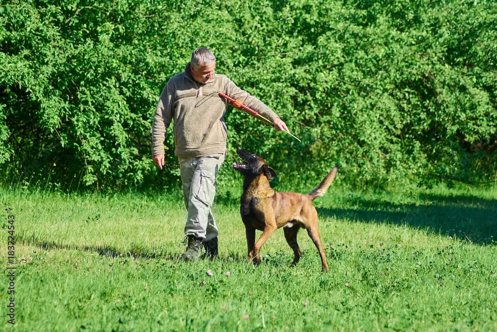 The man is showing the toy to his dog. The dog is intrigued. The man is showing the toy to his dog. The dog is intrigued.