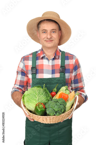 Agronomist with healthy veg...