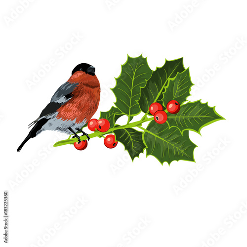 Holly Branch with Bird. Holiday Cartoon Party Realistic Illustration