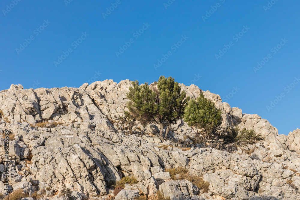 Stony landscape with trees of the Tsambika mountain on the Rhodes Island, Greece Stony landscape with trees of the Tsambika mountain on the Rhodes Island, Greece