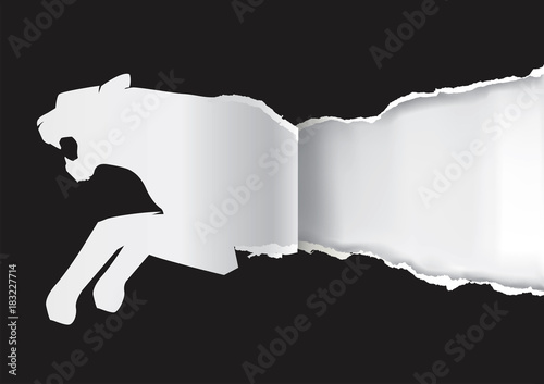 Paper Tiger ripping black paper. 
Silhouette of tiger ripped paper.Place for your text. Vector available. 

