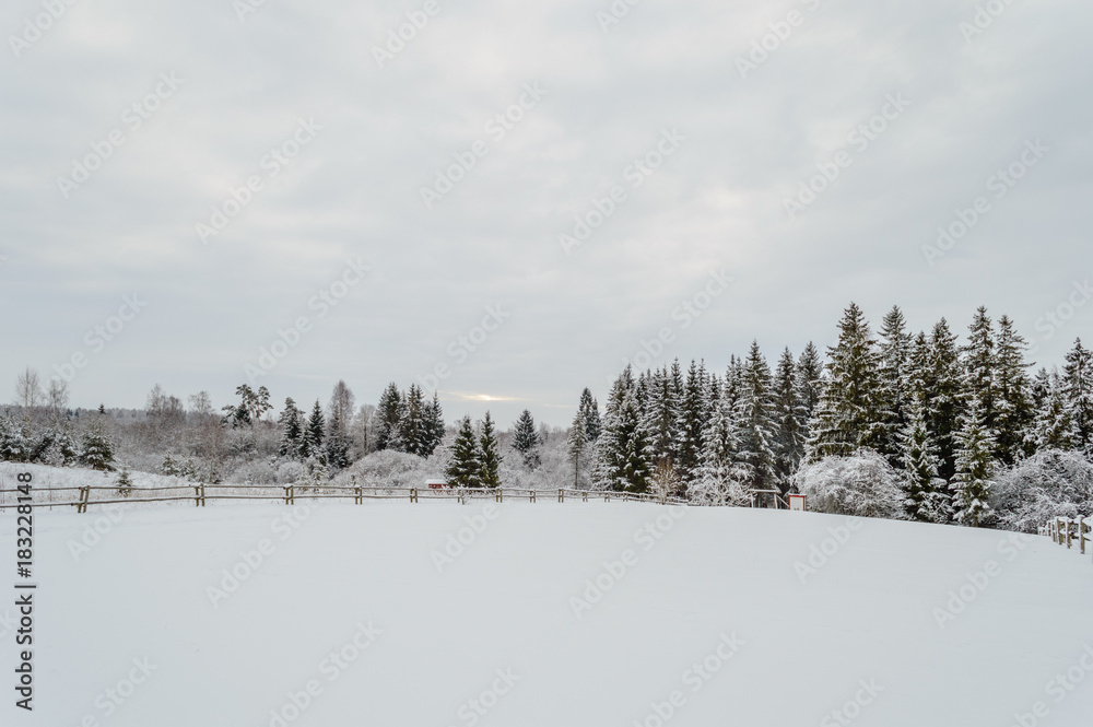 winter rural scene with snow and white fields