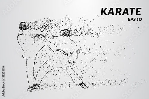 Karate of particles. Karate consists of small circles