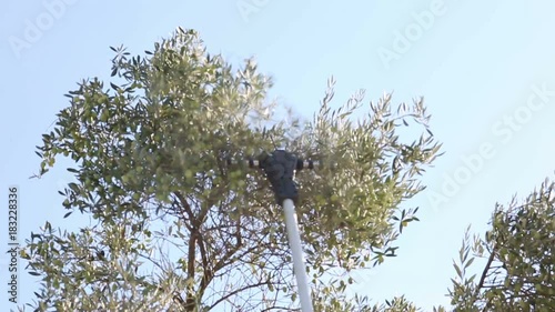 Olive Harvesting Machine photo