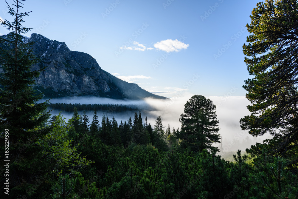 mountain tops in  autumn covered in mist or clouds in sunny day