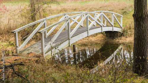 Fotografia, Obraz footbridge across creek on path in autumn