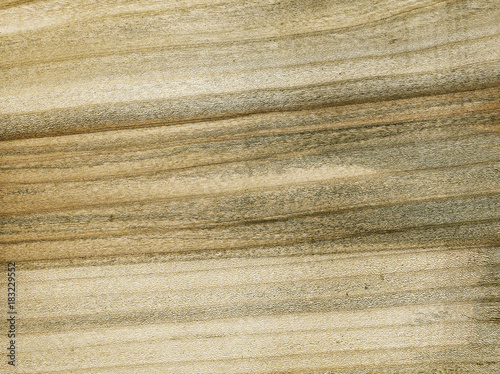wood texture, natural tree pattern