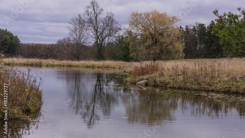 landscape of wetlands in autumn 
