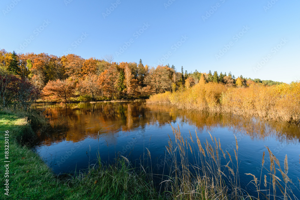 lake with water reflections in colorful autumn day with colored trees