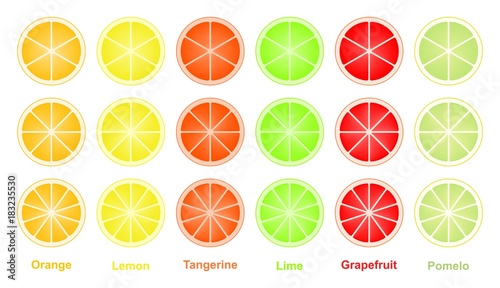 Colorful set of cut slices of citrus fruits of orange, lime, grapefruit, tangerine, lemon and pomelo. Mixed fresh health fruit. 