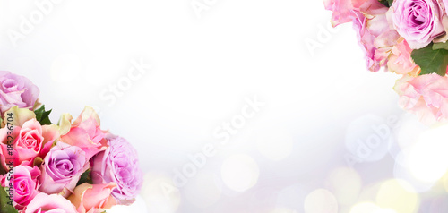 round bouquet of pink and violet fresh roses closeup isolated on white background banner