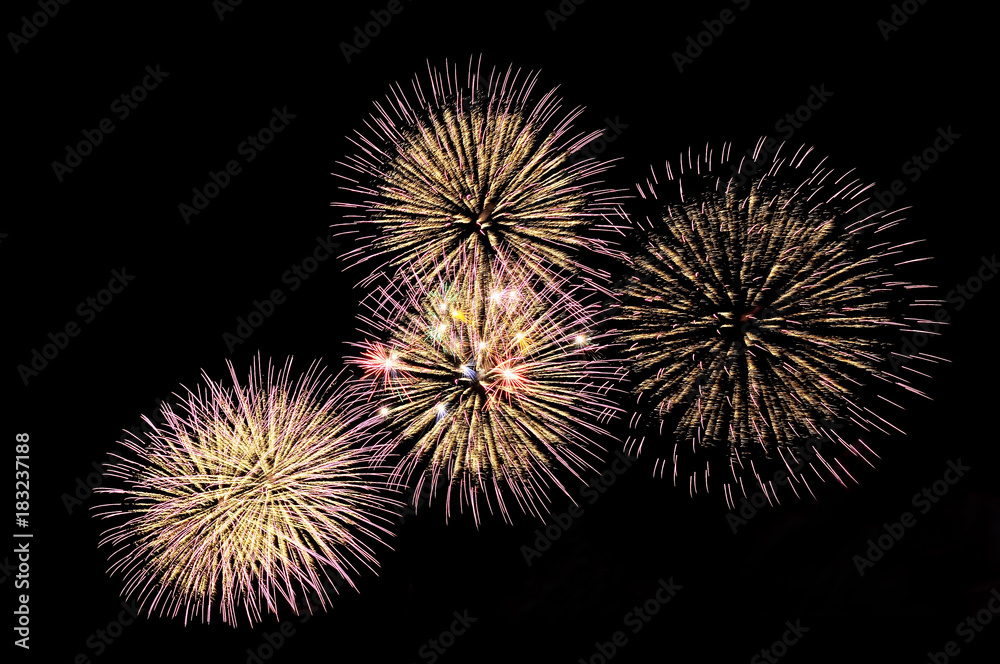 Flashes of festive salute fireworks of gold and lilac colors Flashes of festive salute fireworks of gold and lilac colors