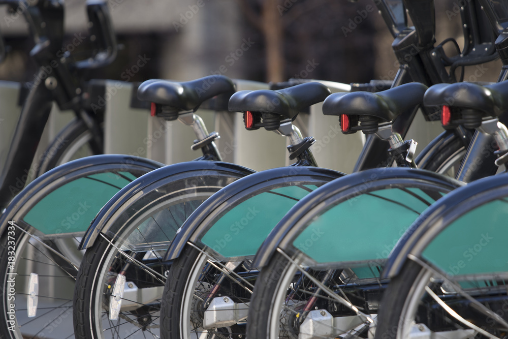 Close up of Bicycle Seats on a Row of Bikes For Rent