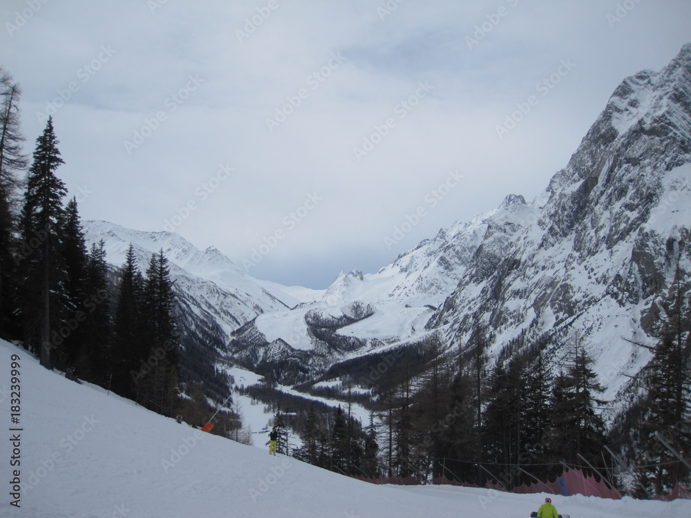Fototapeta premium neve