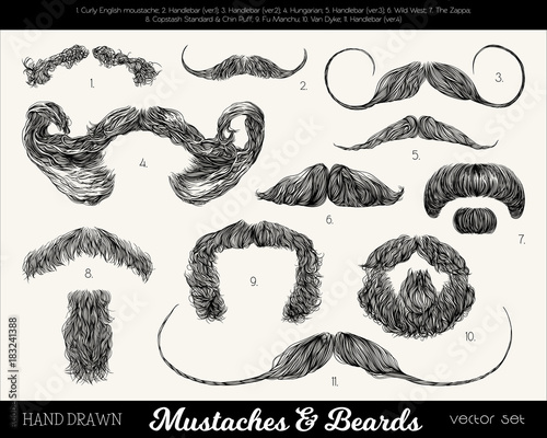 Vector set with mustaches and beards. Hand drawn illustration with fashionable men's styles. Linear Graphics. Kinds and names of moustaches photo