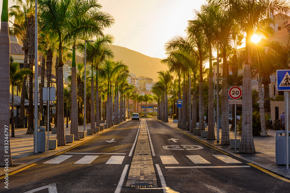 Avenue las Americas in Playa de la Americas on Tenerife, Canary Islands in Spain. - obrazy, fototapety, plakaty 