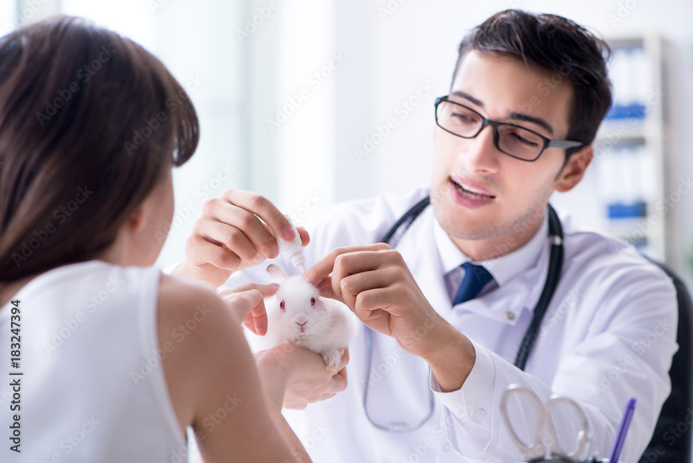 Woman with pet rabbit visiting vet doctor Woman with pet rabbit visiting vet doctor
