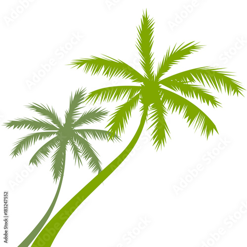 Vector silhouettes of palm trees