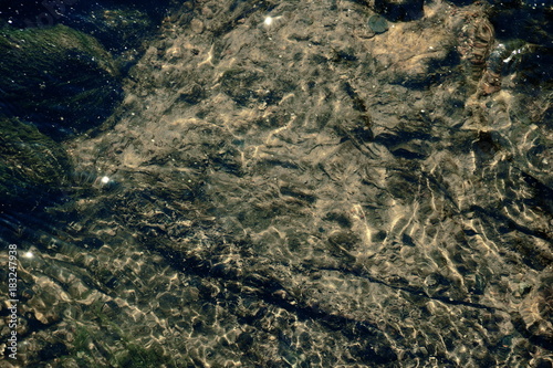 grunge water in a pond texture background © Konstantin