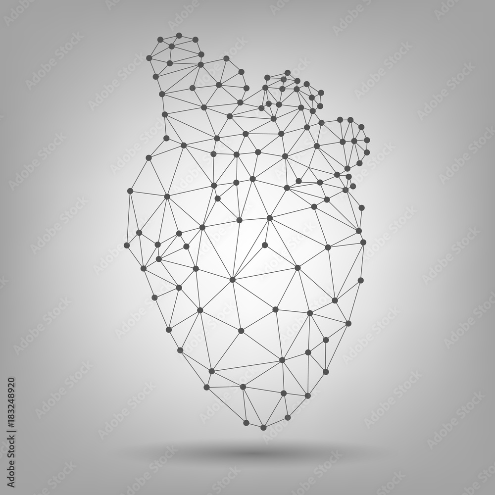 Polygonal human heart, structure