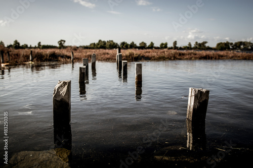 Wallpaper Mural Wooden poles probably remains of an old wooden pier at the sea lake of Tourlida in Mesologi, Greece Torontodigital.ca