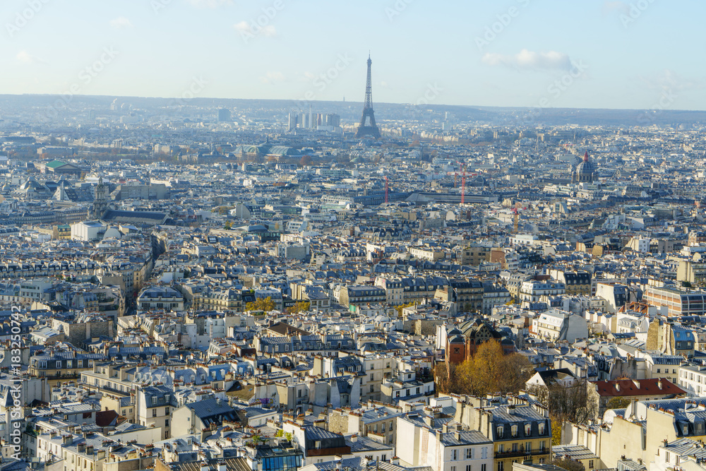 Fototapeta premium Paris Eiffel Tower