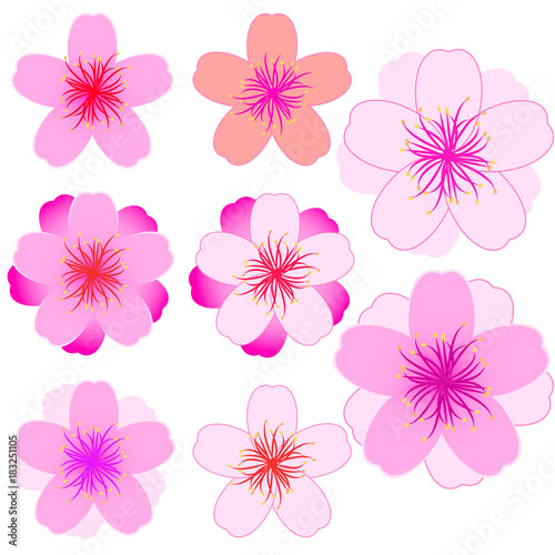 Cherry blossom icon set. Modern Vector illustration
