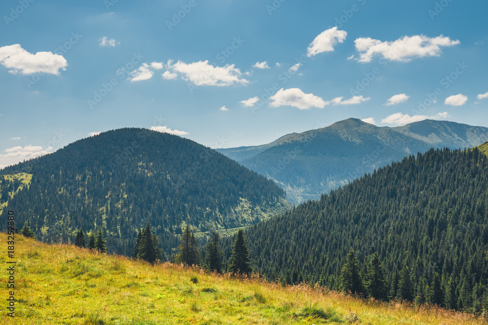 Beautiful summer Landscapes of Rodna Mountains in eastern carpathians, romania