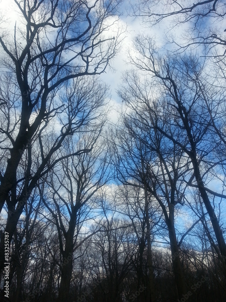 Blue Sky