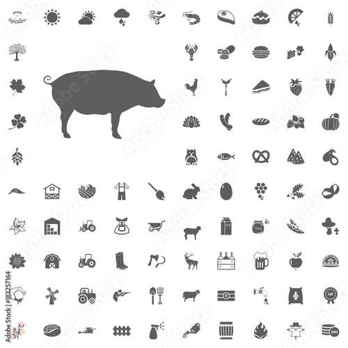 Agriculture and Farm Vector Icons Set