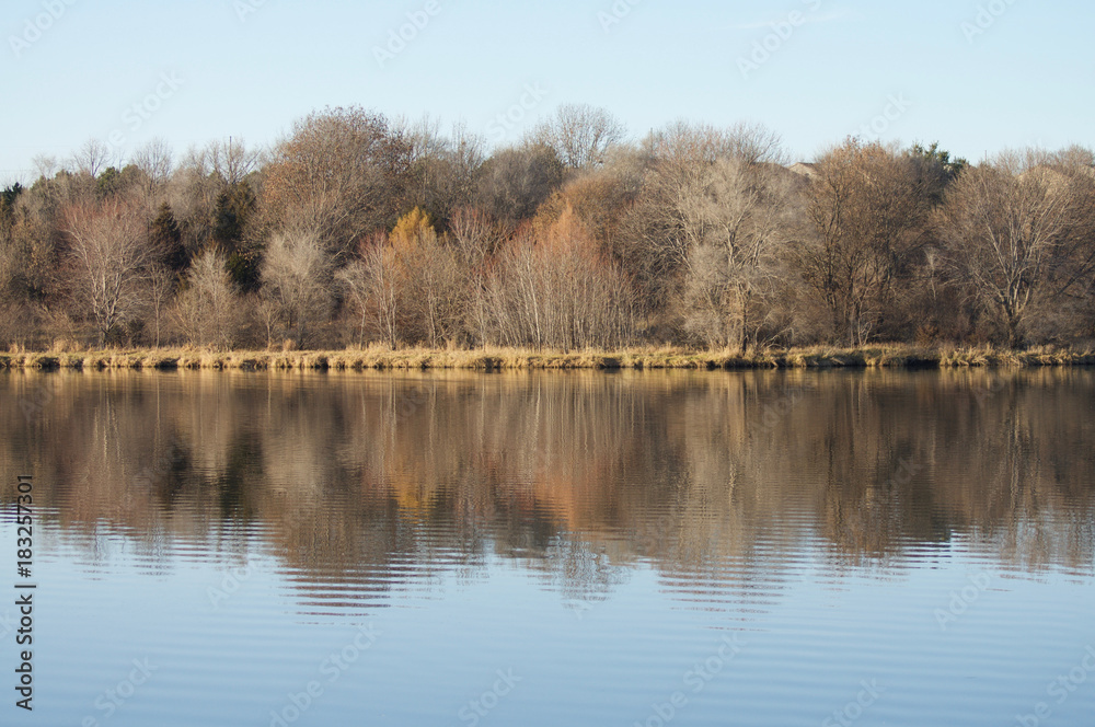 Lake Tree Reflection