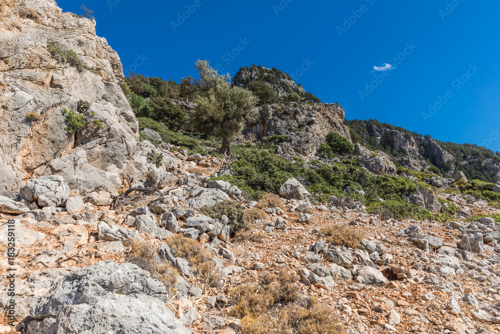 Stony landscape of the Tsambika mountain on the Rhodes Island, Greece Stony landscape of the Tsambika mountain on the Rhodes Island, Greece
