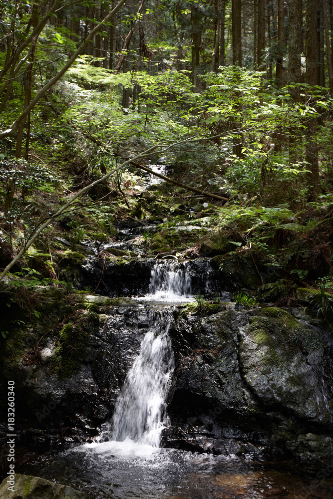 和泉葛城山渓流園地