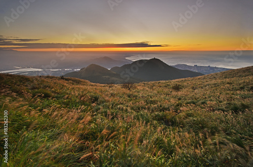 Chinese silvergrass in sunset background at Yangmingshan National Park, Taipei, Taiwan 