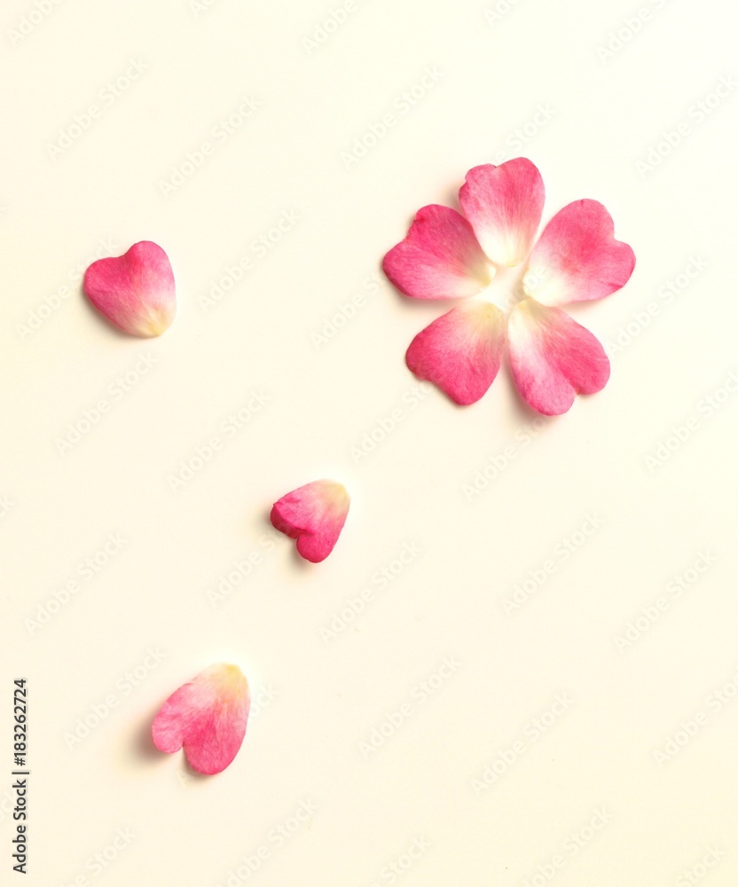 ハート型のピンクの薔薇 白背景 Stock Photo Adobe Stock