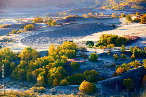 The autumn steppe sunrise landscape.