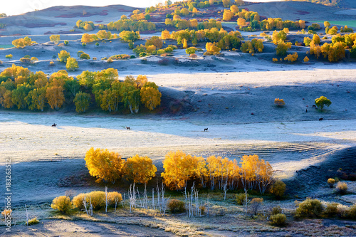 The autumn steppe sunrise landscape.