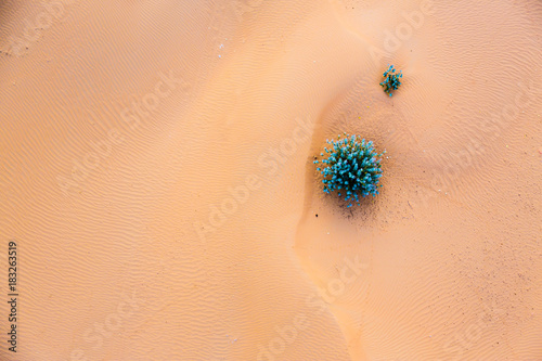 Sand Dunes From Above
