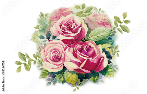Greeting card with pink roses flowers. © Painterstock