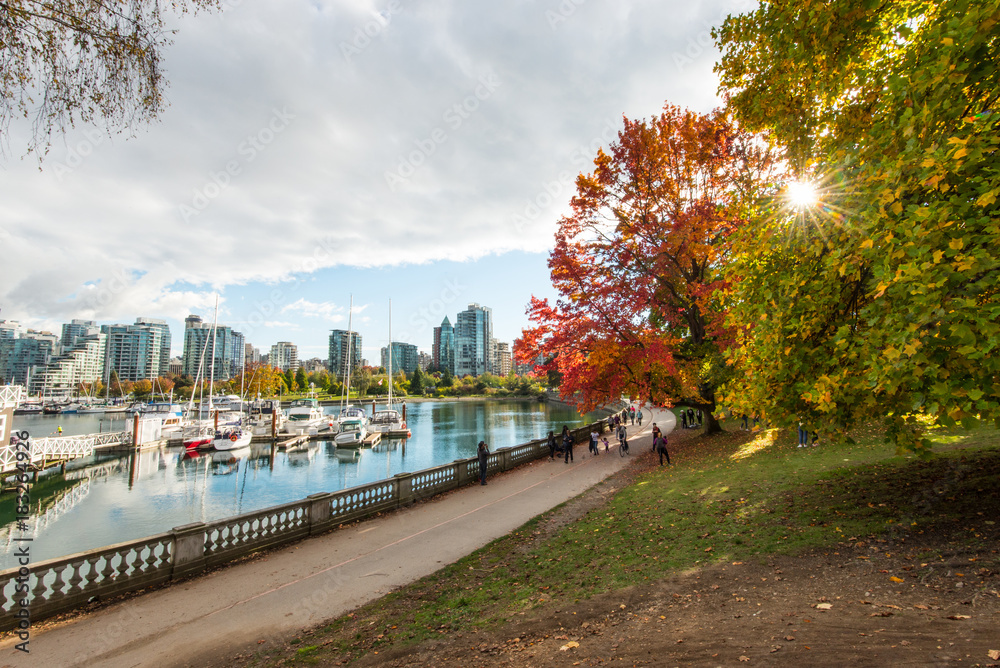 Fototapeta premium A fall day on Stanley park Vancouver Canada
